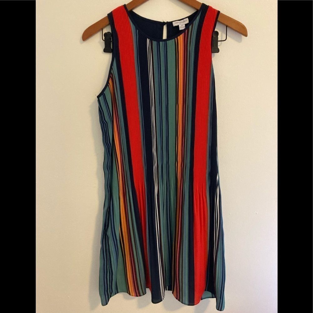 Carolina  belle pleated striped dress‎